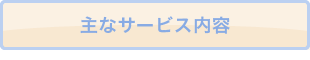主なサービス内容